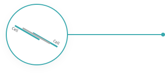 suncitygroup太阳集团·(中国)首页登录